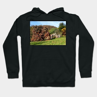 The old mill Hoodie